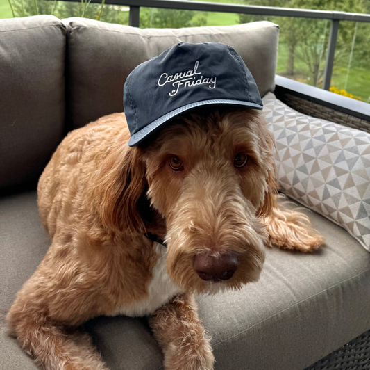 A dog wearing the Casual Friday Hang Loose cap